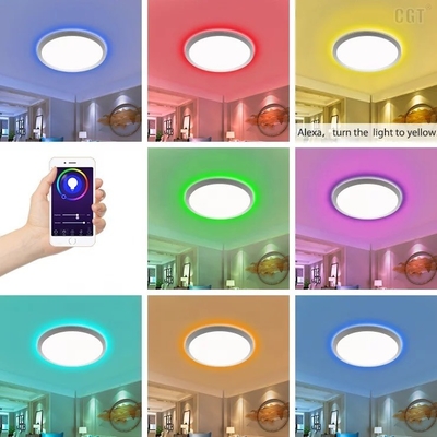 Υπηρεσία Λύσεων Φωτισμού 30w Slim Tuya WiFi Smart LED Φως οροφής Δεν απαιτείται DIY