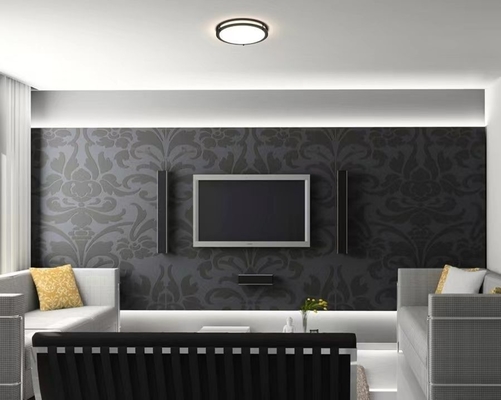 21W 5CCT Διακόπτης Ελέγχου 14 ιντσών LED CCT Επιλέξιμο Δύο Δαχτυλίδι Φως Οροφής CL-B14255C