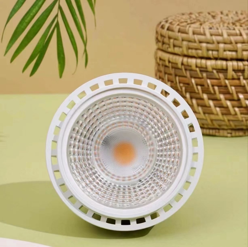 Φωτισμός φυτικής καλλιέργειας LED 20W LEDPAR30 με τάση εισόδου 85V-265V και άλλο τύπο βάσης